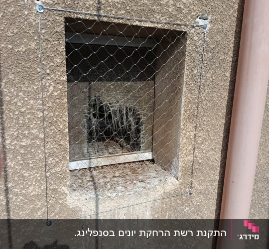 רשת מתכת על חלון למניעת כניסת יונים